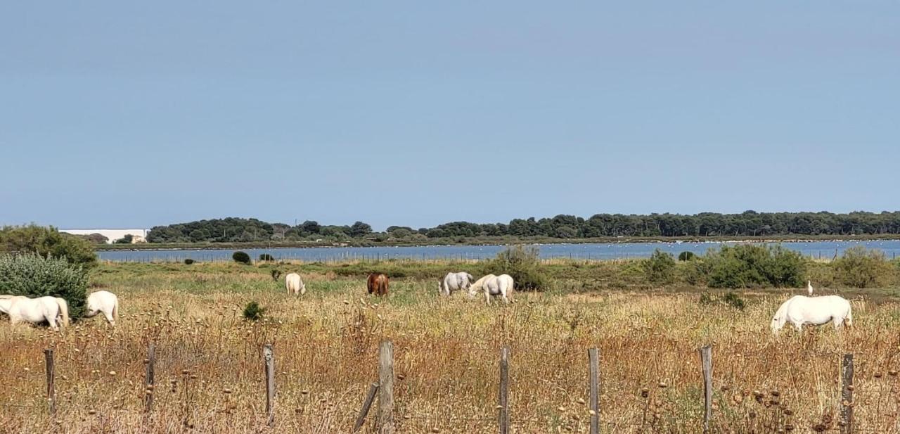 La Cigale De Mer A 100 M De La Plage Et Du Centre Ville Du Grau Du Roi Le Grau-du-Roi Zewnętrze zdjęcie